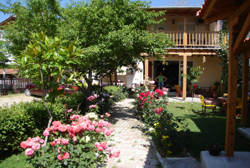 fisi-kai-xalarosi-14