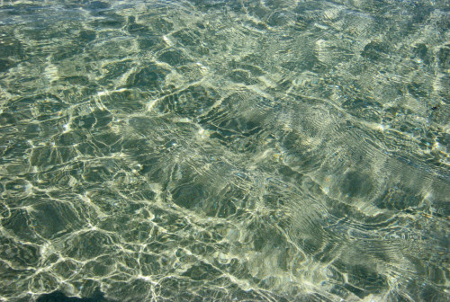 fisi-kai-xalarosi-17