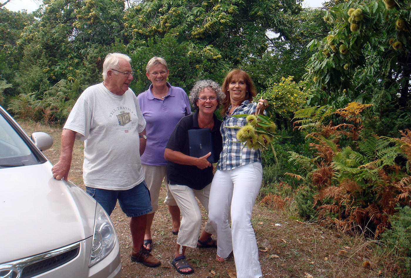 συλλογή καστάνων